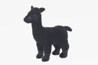 Obrázek z Lama černá plyš 20cm (6) 